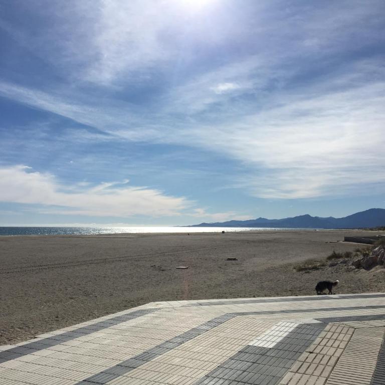 Appartement climatise Vue Mer 208 - Appartamento con Vista Mare - 24