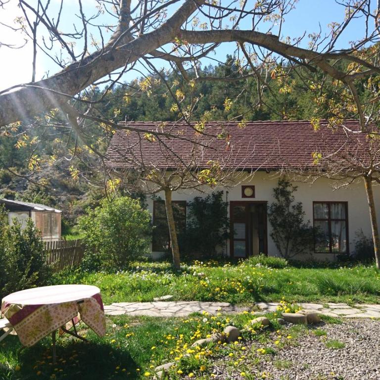 Casa Turreta - Appartement - 17