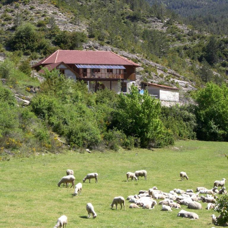 Casa Turreta - Appartement - 16