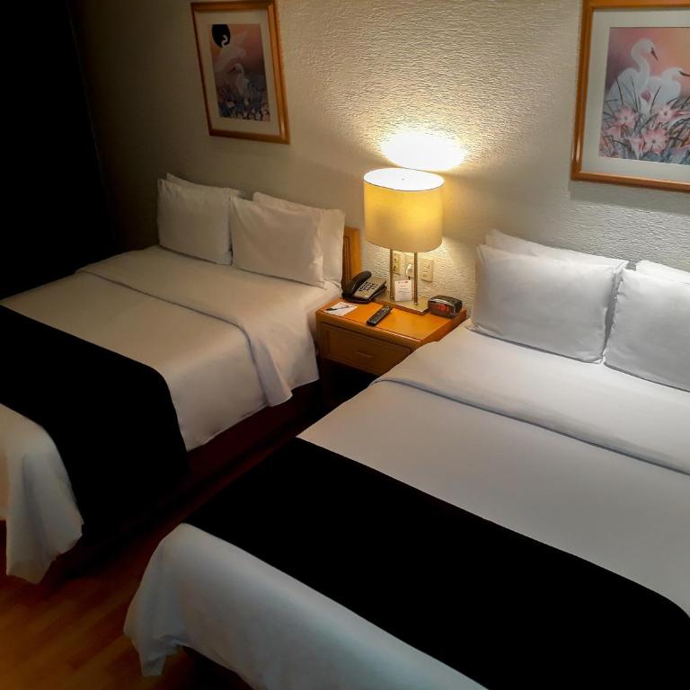 Hotel PF - Habitación Doble Estándar con 2 camas dobles - 27