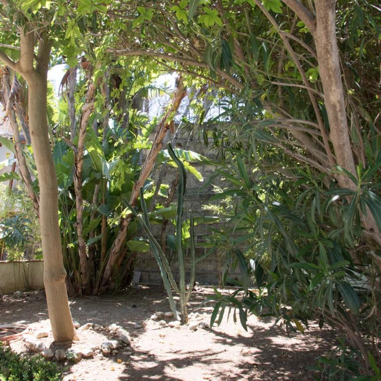 La Spiaggetta Fontane Bianche - Appartement - 11