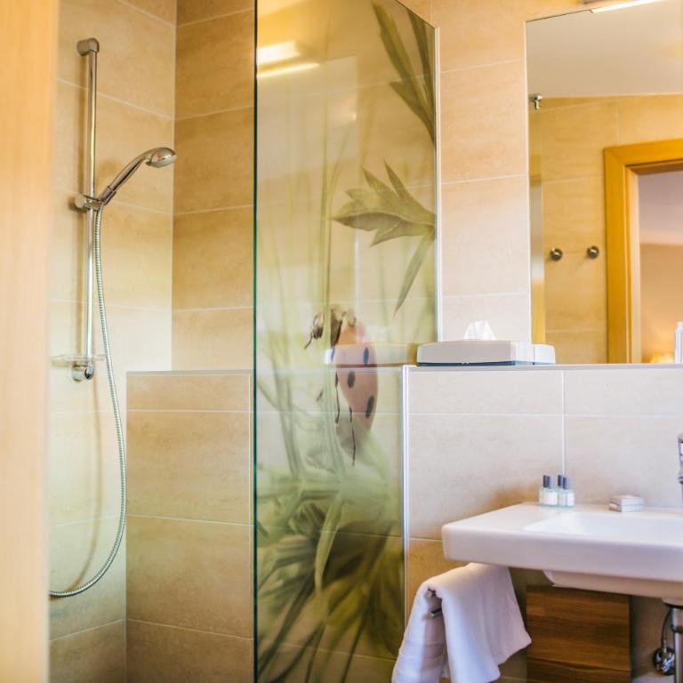 Hotel Dr Otto Murr B&B - Kleines Doppel-/Zweibettzimmer - 5