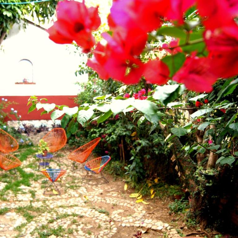 Oaxaca Deleite - Casa de 4 dormitorios - 23