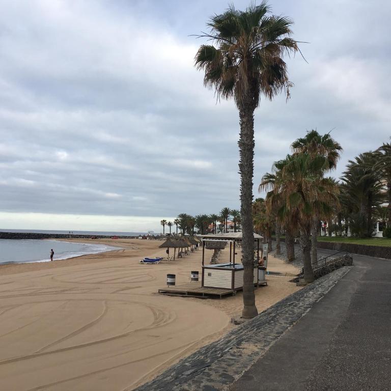 Canary Islands Apt - Apartamento - 17