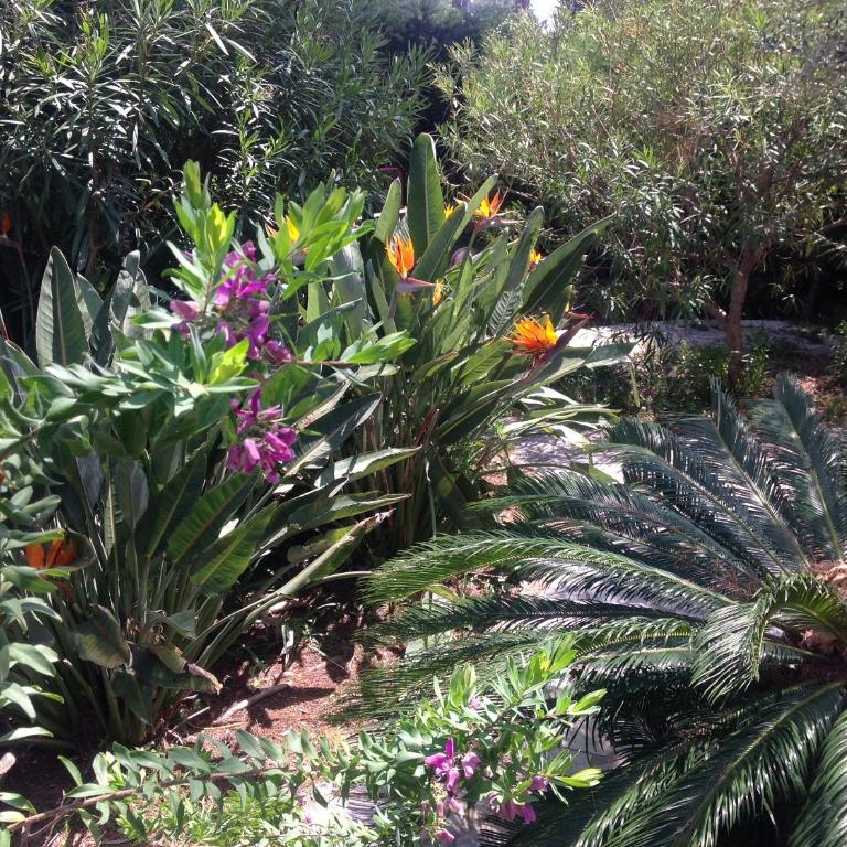 Villa Clair Matin - Antibes - Sea View - Pool - Sauna - Beach - AC - Villa - Vue sur Mer - 18
