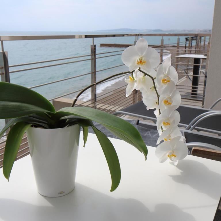Villa Azur - Chambre Double Classique - Vue sur Mer - 4