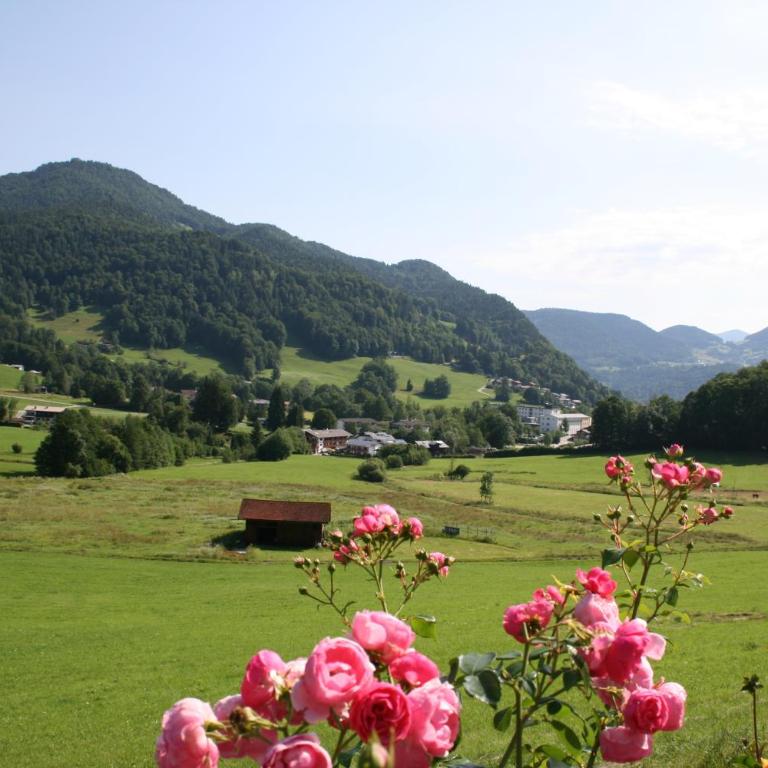 Haus Bergfrieden - Apartment mit Blick auf die Berge - 6