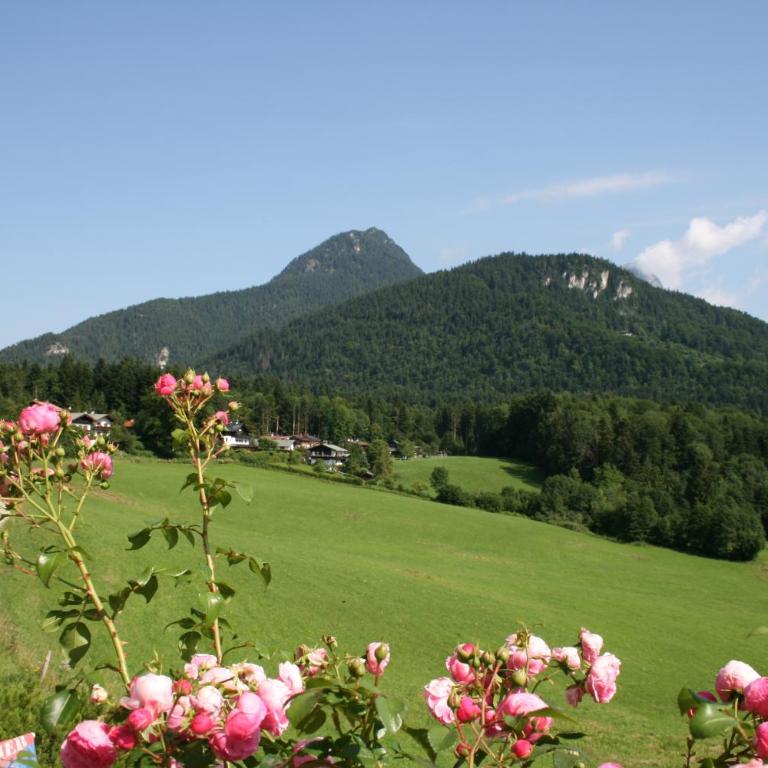 Haus Bergfrieden - Apartment mit Blick auf die Berge - 5
