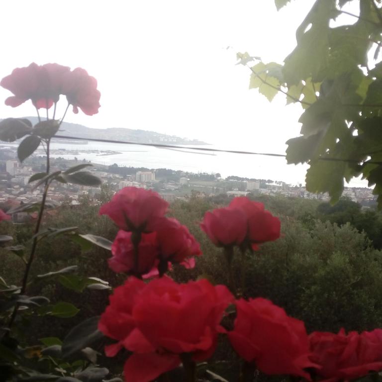 Apartman "Marko" - Apartman - 21