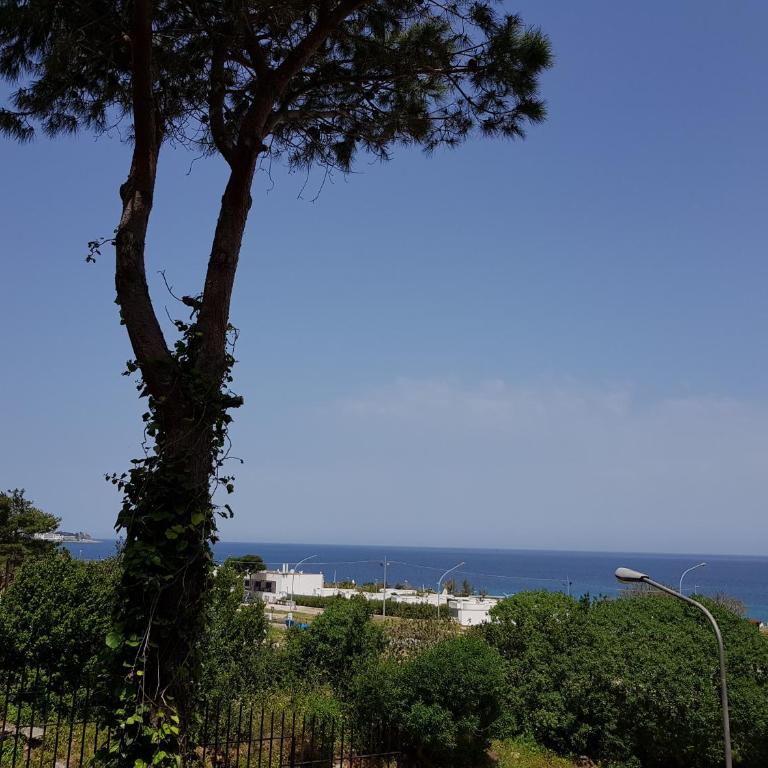 Addaura Village e Congressi - Camera Matrimoniale/Doppia con Letti Singoli con Vista Mare - 8