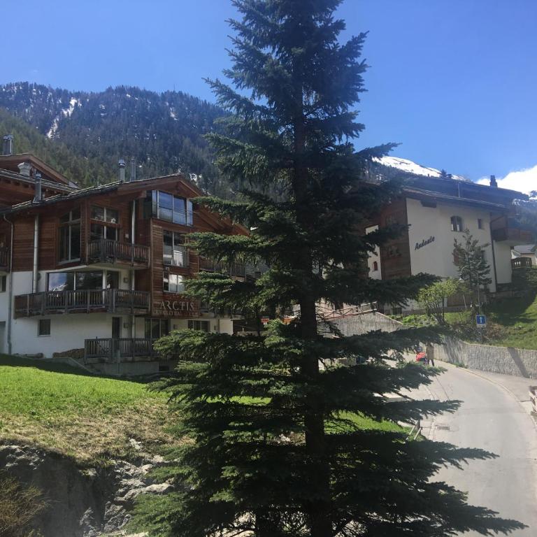 Haus Colmar - Appartement 1 Chambre - 32