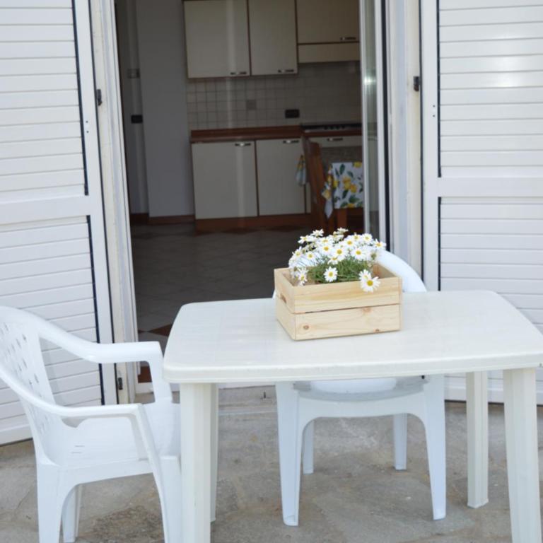 Residenza sul Mare Villa Margherita - Il Lupo Affitta - Appartamento Monolocale - 9