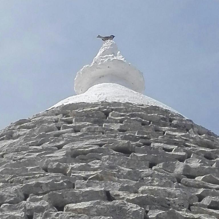 Borgo trulli 1789 - Appartamento con Vista Giardino - 30
