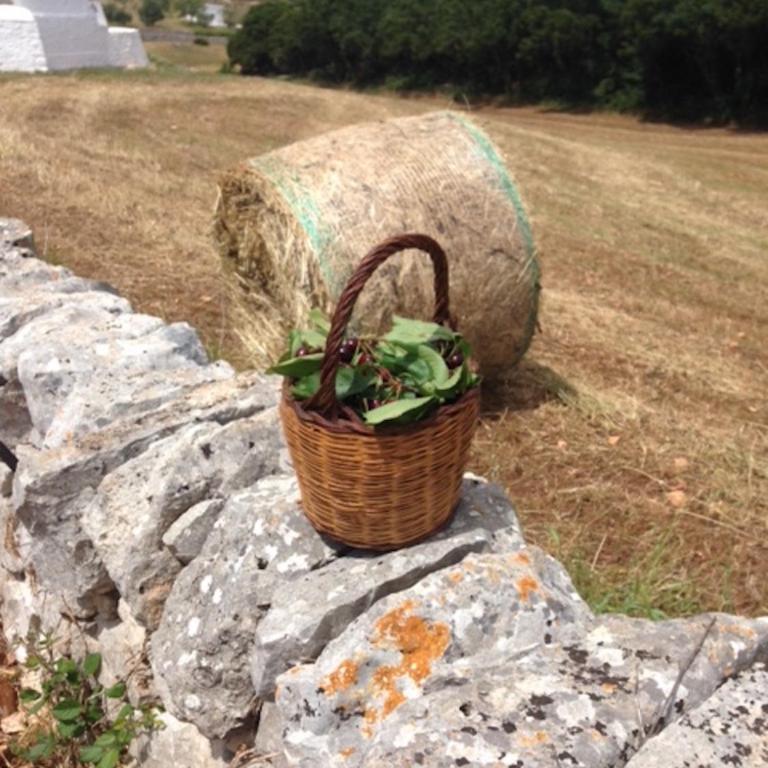 Borgo trulli 1789 - Appartamento con Vista Giardino - 33