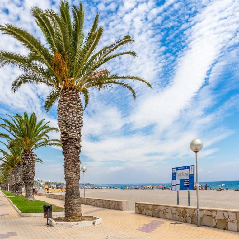Arenda Casablanca Pino Alto - Casa - 19