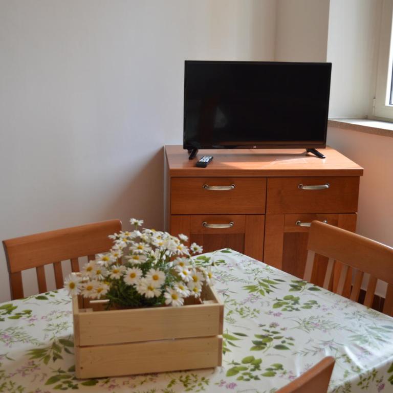 Residenza sul Mare Villa Margherita - Il Lupo Affitta - Appartamento con 1 Camera da Letto - 22