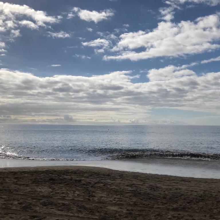 Apartamento Seaview - Apartment - 24