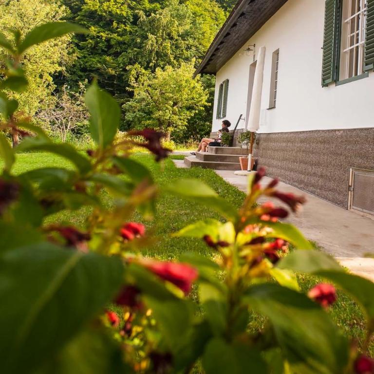 Ferienhaus Vogeljager - Maison de Vacances - 1