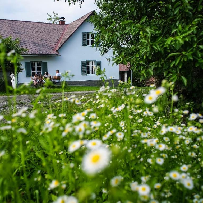 Ferienhaus Vogeljager - Maison de Vacances - 5