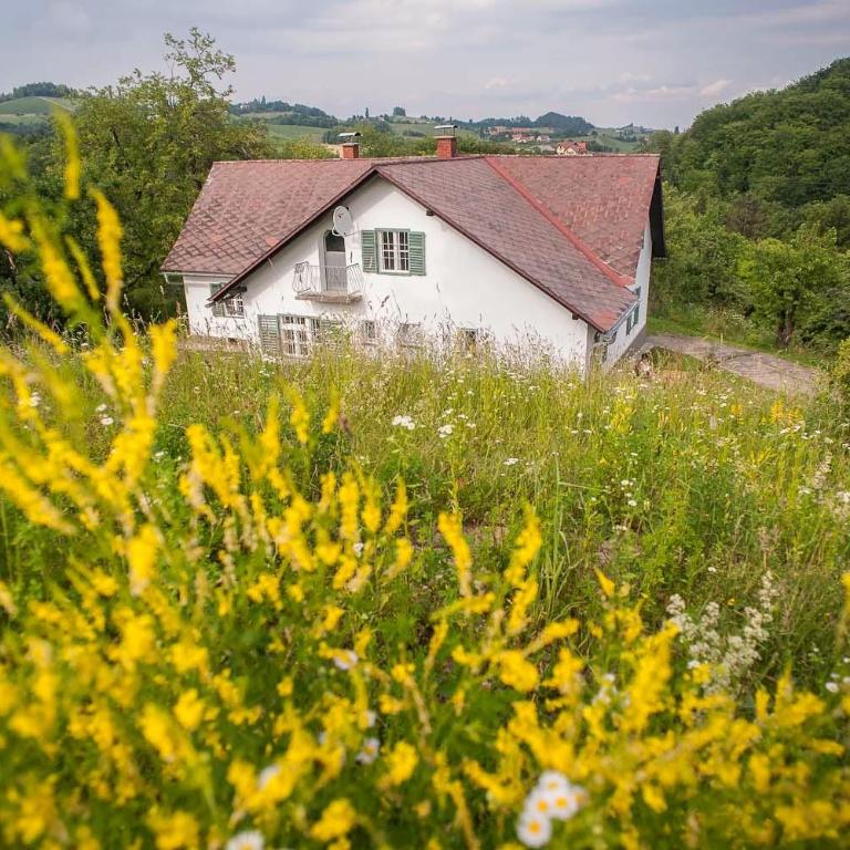 Ferienhaus Vogeljager - Maison de Vacances - 4