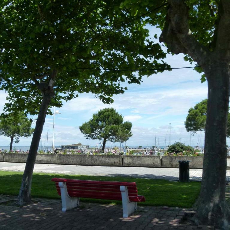 Les pieds dans l'eau - Apartment - 16