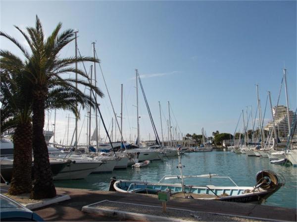 Baie des anges appartement Bis - Studio - Vue sur Mer - 50