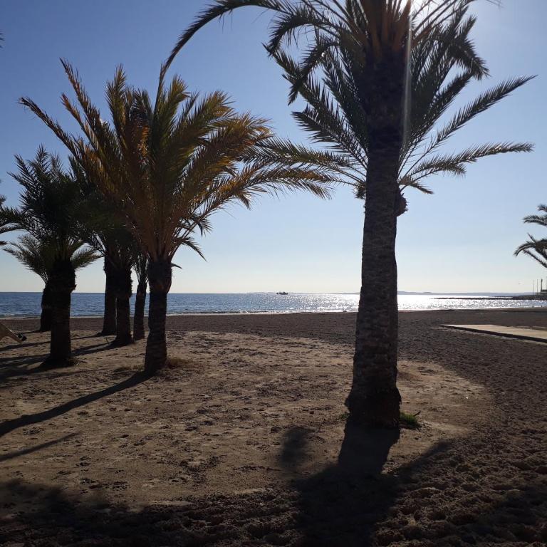 2 bedroom's flat on the beach, City center, 1 line - Apartamento de 2 dormitorios - 36