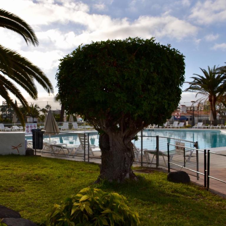Bungalow en Playa del Ingles - Casa Unifamiliar de 2 dormitorios - 7