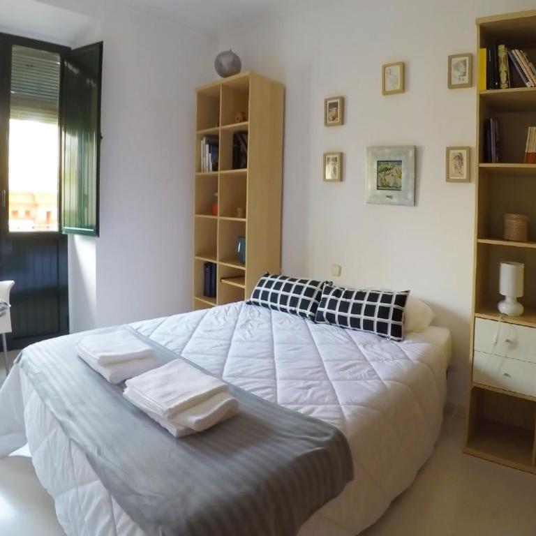 Luz y balcones junto a la Giralda - Apartamento - 2
