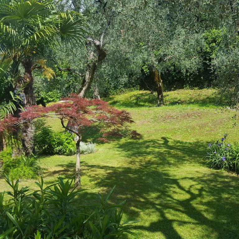 Casa Valenti - Appartamento con 1 Camera da Letto - 35