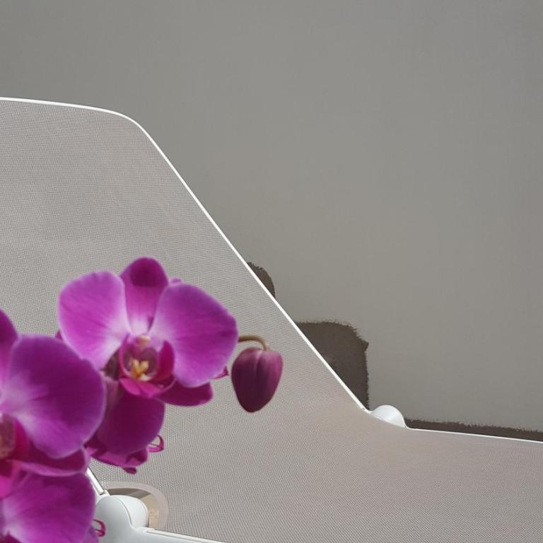Torres Suite - Suite con Terrazza - 19