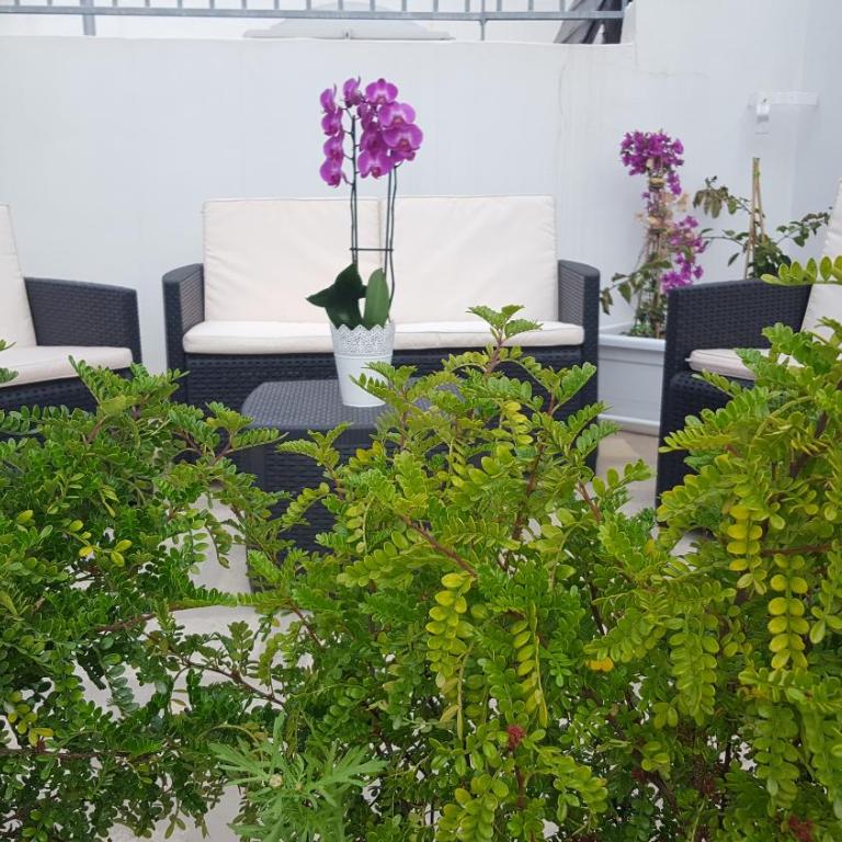 Torres Suite - Suite con Terrazza - 23