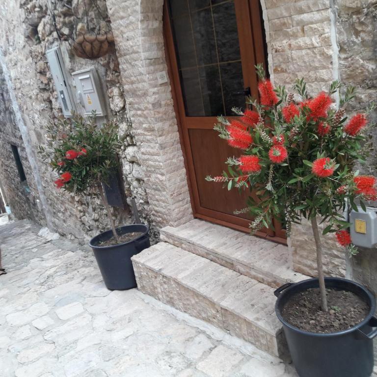 Apartments Debora - Basic Double Room - 2