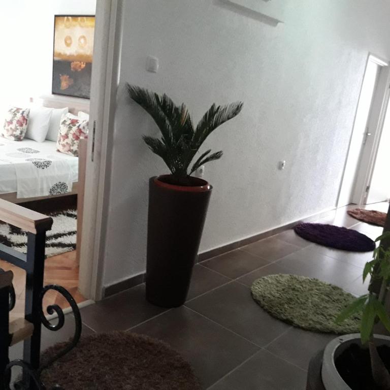 Apartments Debora - Basic Double Room - 3