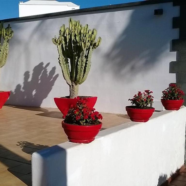 JANESKA APARTMENTs - Apartment with Terrace - 23
