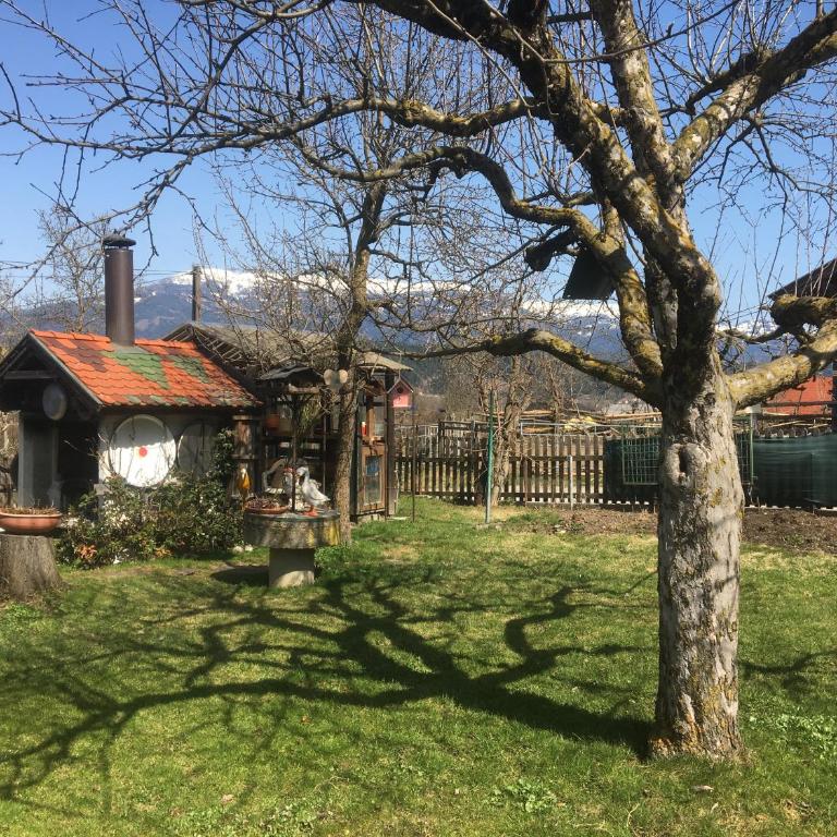 Ferienwohnung Lebenslust Frauen Gasser - Apartment - Erdgeschoss - 22