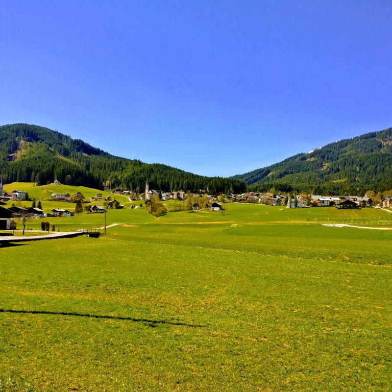 Pension Edelweiss Top 25 - Dachstein West - Apartment - 99