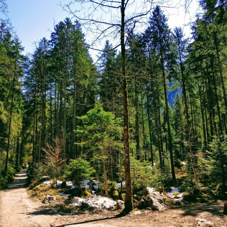 Pension Edelweiss Top 25 - Dachstein West - Apartment - 55