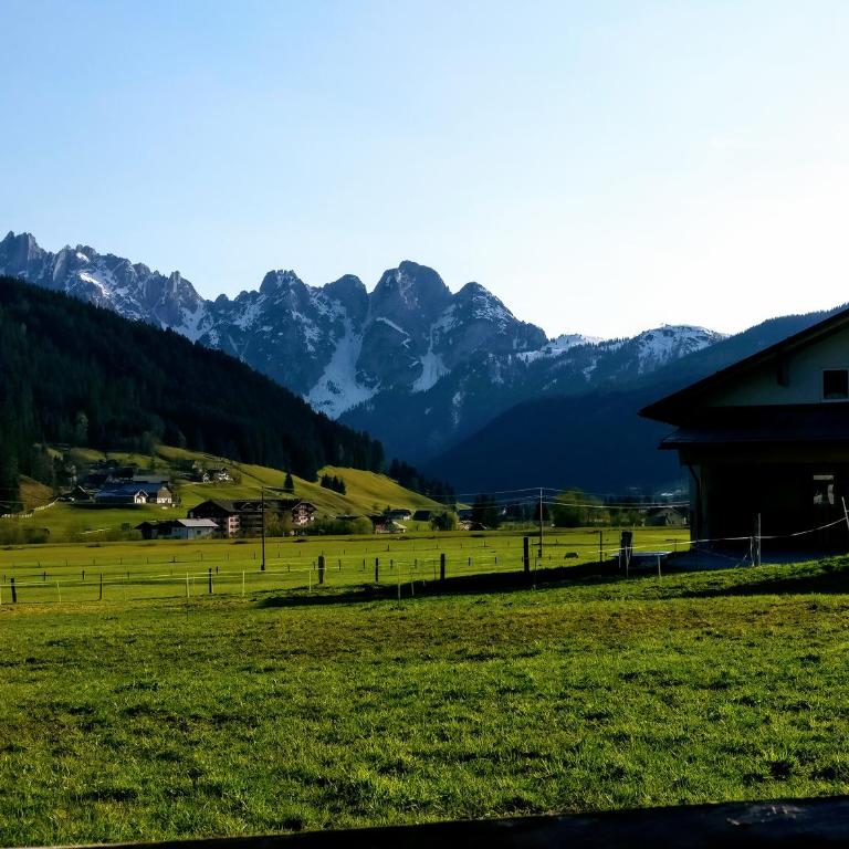Pension Edelweiss Top 25 - Dachstein West - Apartment - 66