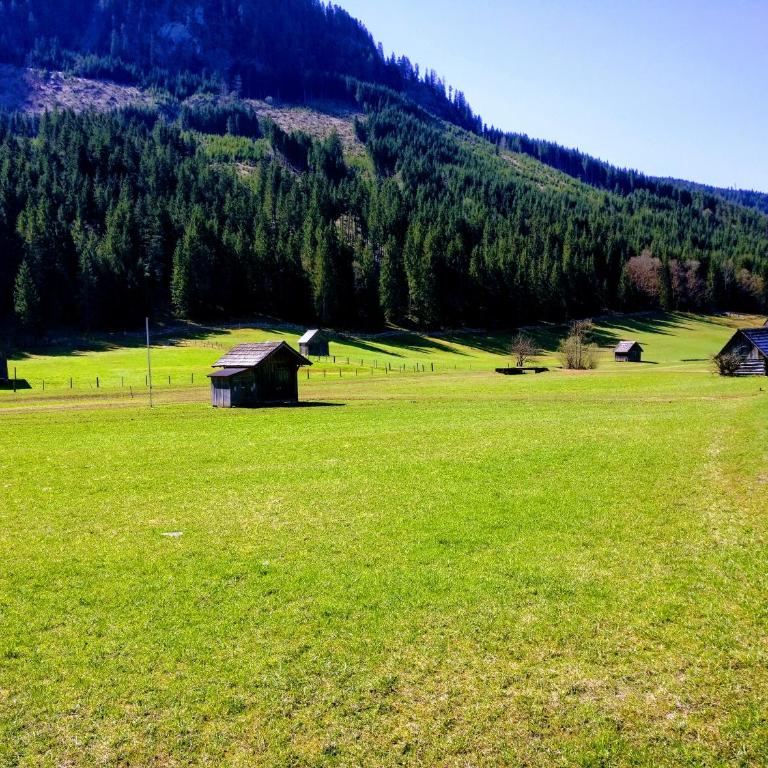 Pension Edelweiss Top 25 - Dachstein West - Apartment - 52