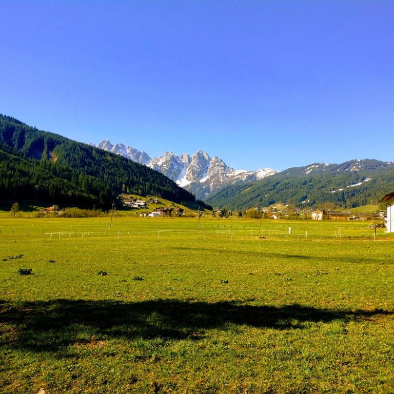 Pension Edelweiss Top 25 - Dachstein West - Apartment - 91