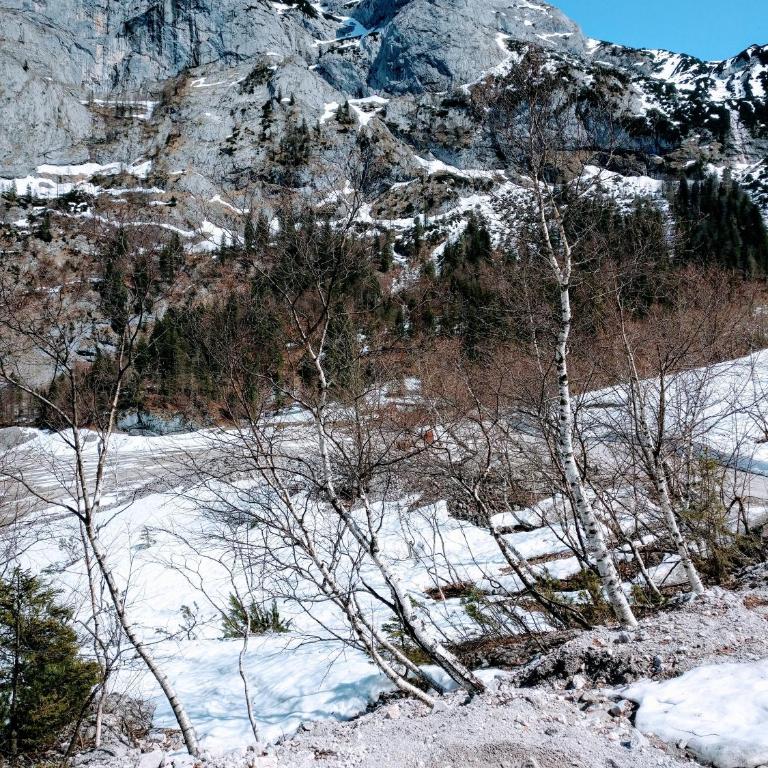 Pension Edelweiss Top 25 - Dachstein West - Apartment - 97