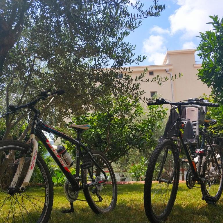 Apartments Vila Anastasia - Budget Double Room - 2