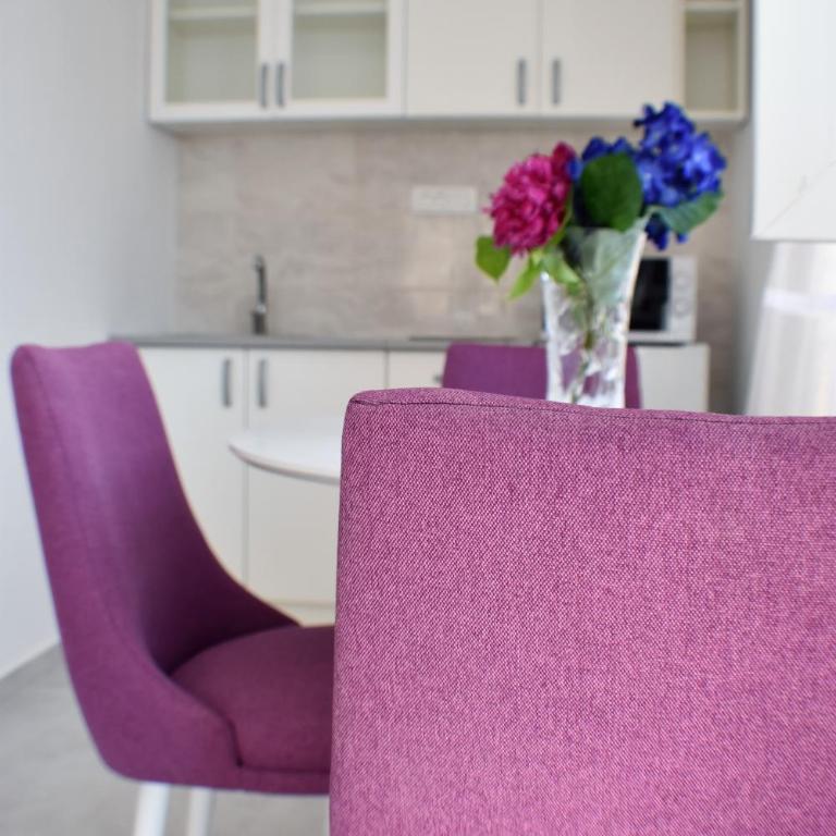 Apartmani Ognjanovic Kotor - Apartment with Terrace - 3
