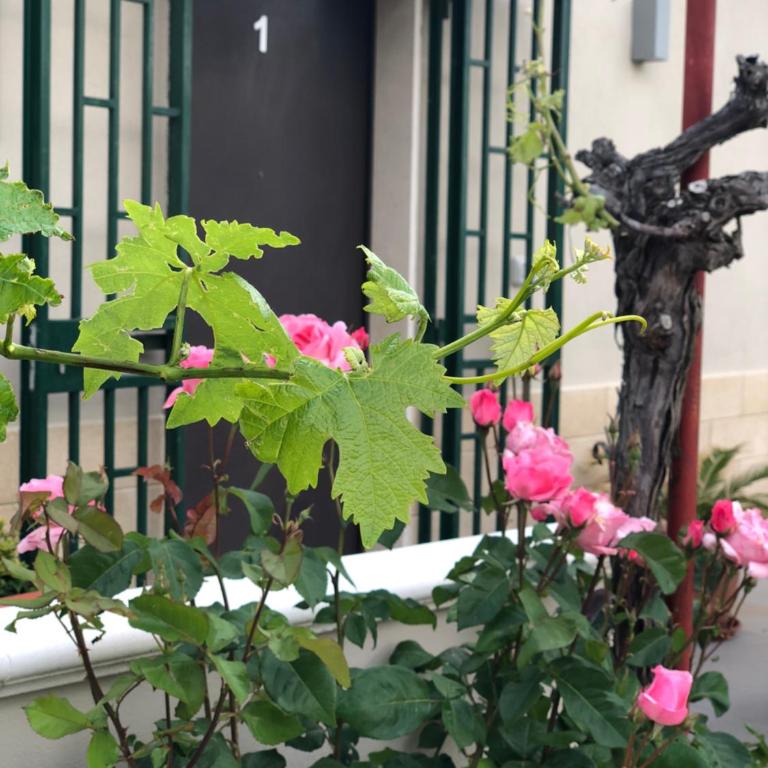 La Collinetta Dei Sassi - Standard Double or Twin Room - 30