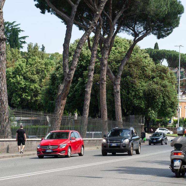 Domus Caracalla Nel Cuore Di Roma - Appartamento - 19