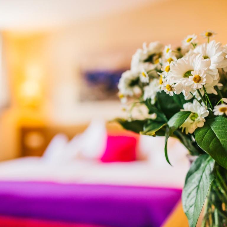 Hotel Dr Otto Murr B&B - Kleines Doppel-/Zweibettzimmer - 4