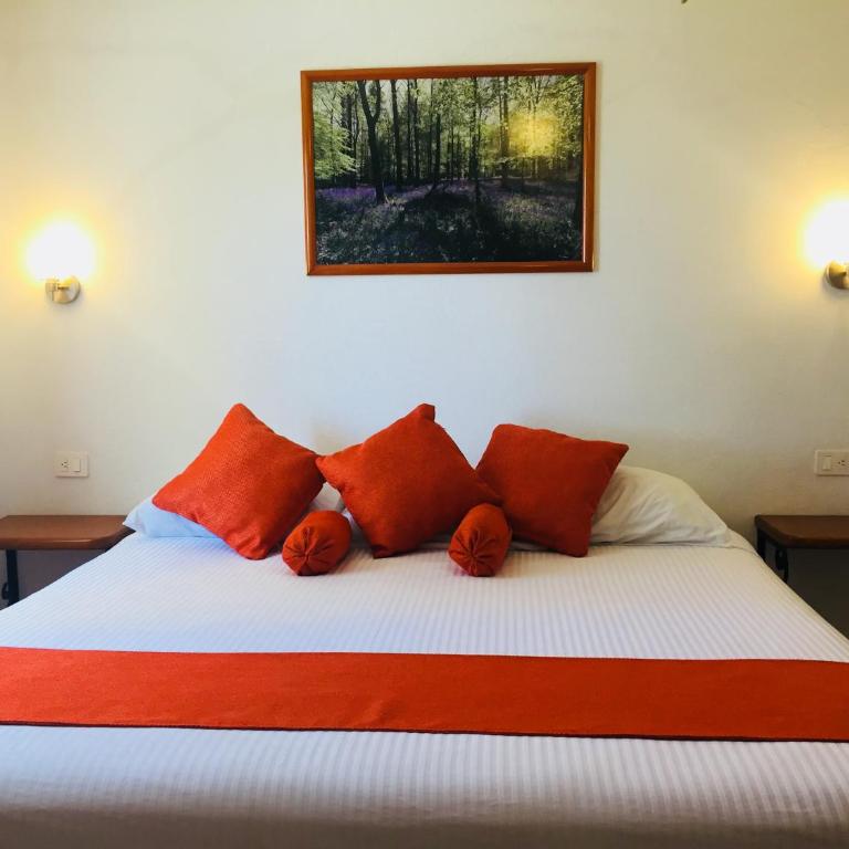 Hotel RV Park San Ramón - Chambre Lit King-Size Standard - 1