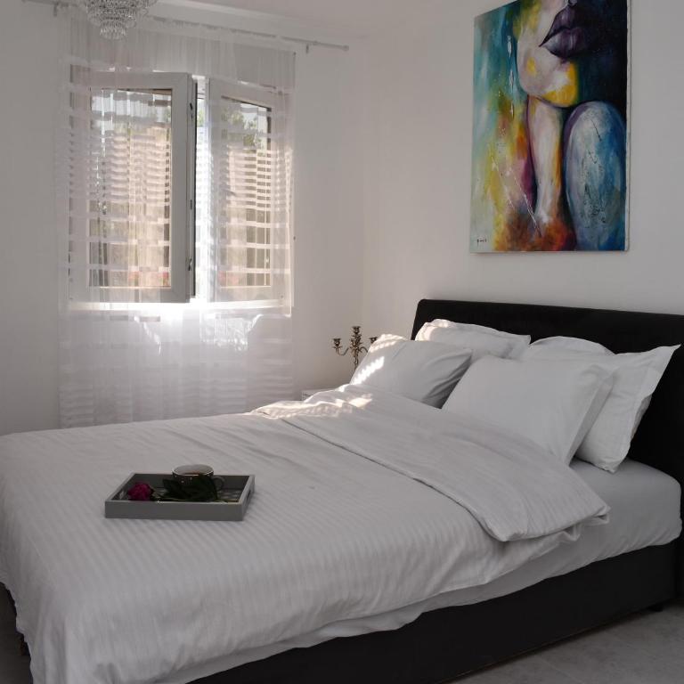 Apartmani Ognjanovic Kotor - Apartment with Terrace - 13