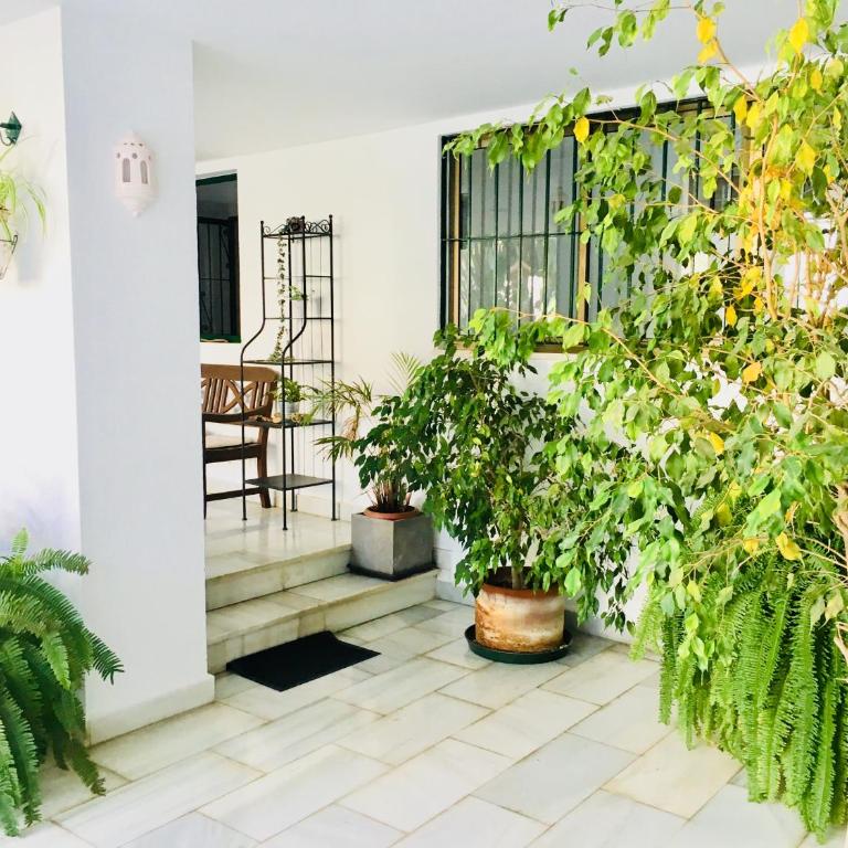 Toreblanca Lux - Apartamento - 33